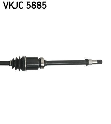 VKJC 5885_3