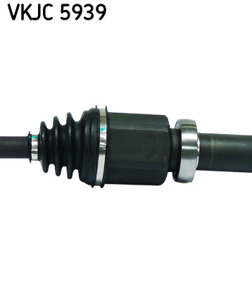 VKJC 5939_3