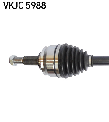 VKJC 5988_2