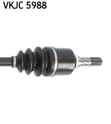 VKJC 5988_3