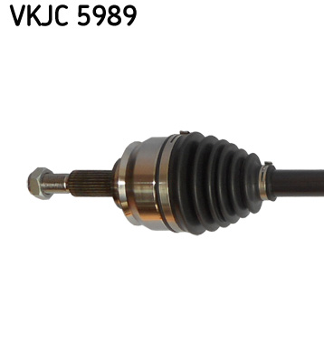 VKJC 5989_2