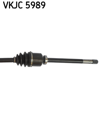 VKJC 5989_3
