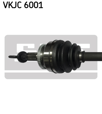 VKJC 6001_2