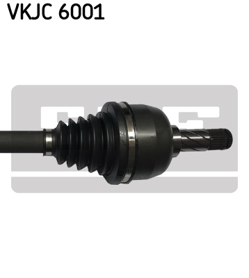 VKJC 6001_3