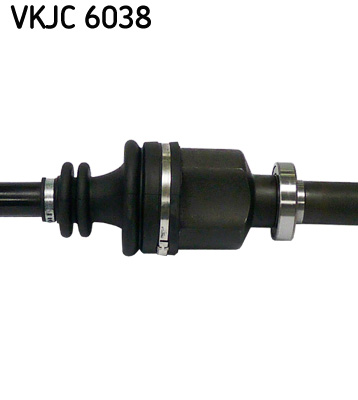 VKJC 6038_3