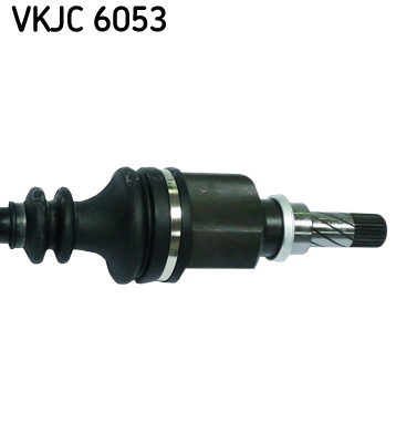 VKJC 6053_3