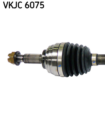 VKJC 6075_2