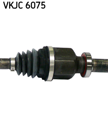 VKJC 6075_3