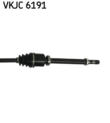 VKJC 6191_3