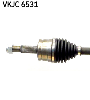 VKJC 6531_2