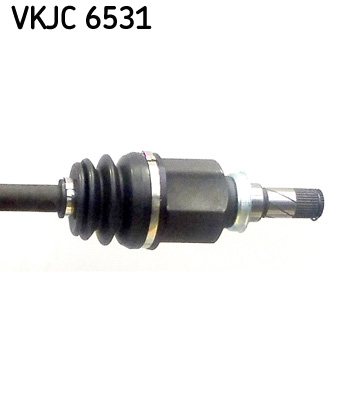 VKJC 6531_3