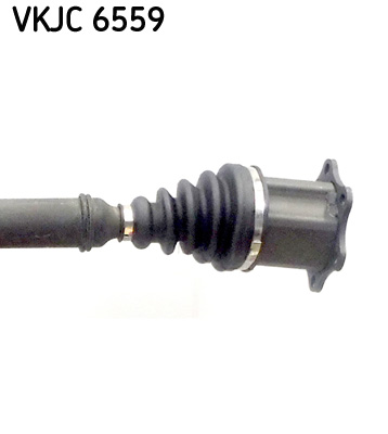 VKJC 6559_3