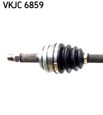 VKJC 6859_2