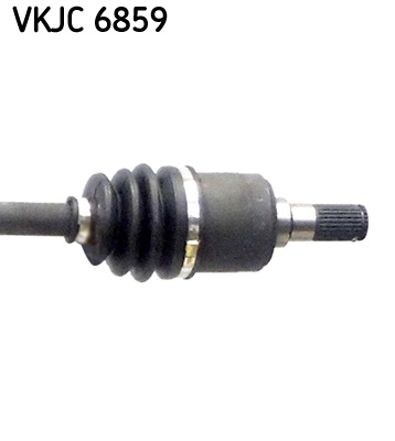VKJC 6859_3