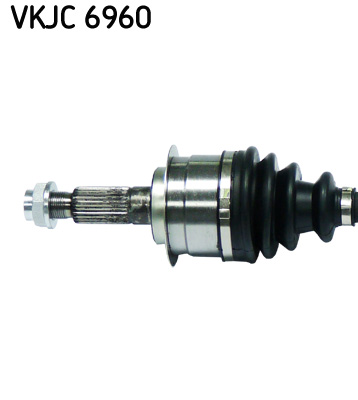 VKJC 6960_2
