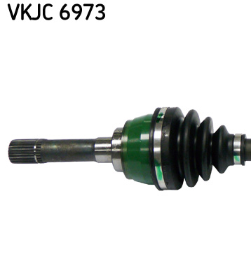 VKJC 6973_2