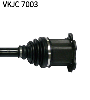 VKJC 7003_3