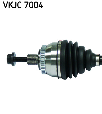 VKJC 7004_2