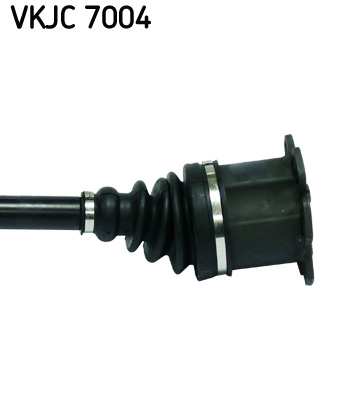 VKJC 7004_3