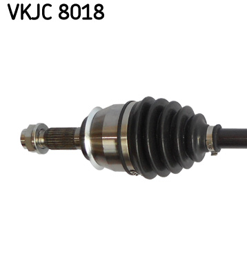 VKJC 8018_2