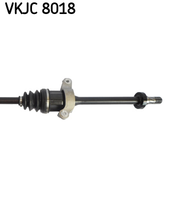 VKJC 8018_3