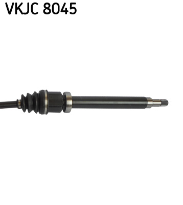 VKJC 8045_3