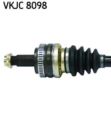 VKJC 8098_2