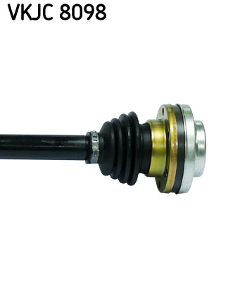 VKJC 8098_3