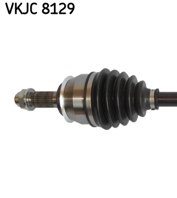 VKJC 8129_2