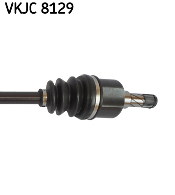 VKJC 8129_3