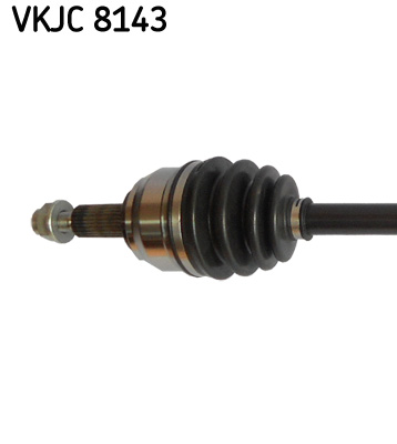 VKJC 8143_2