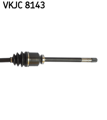 VKJC 8143_3