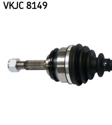 VKJC 8149_2