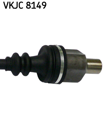 VKJC 8149_3
