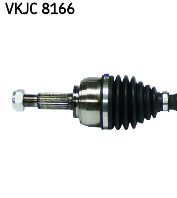 VKJC 8166_2