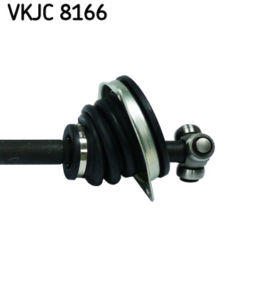 VKJC 8166_3