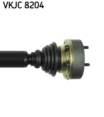 VKJC 8204_3