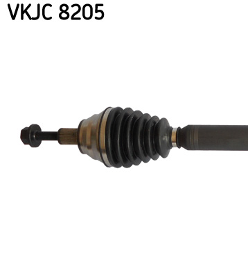 VKJC 8205_2