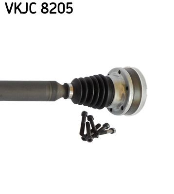 VKJC 8205_3