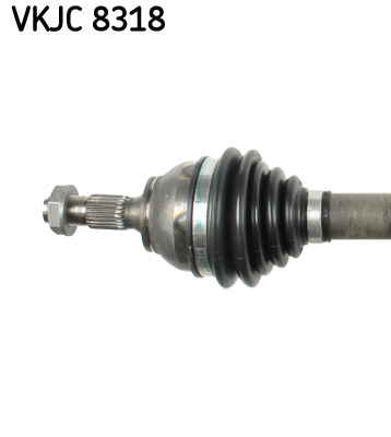 VKJC 8318_2