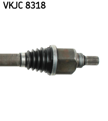 VKJC 8318_3