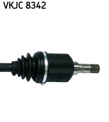 VKJC 8342_3
