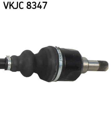 VKJC 8347_3