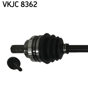 VKJC 8362_2