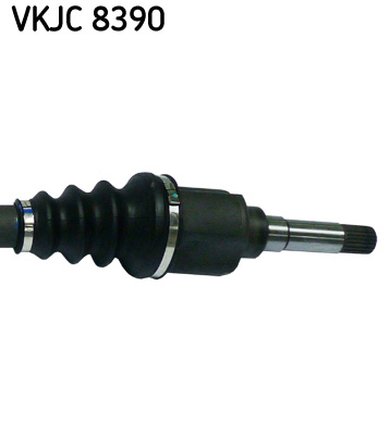 VKJC 8390_3