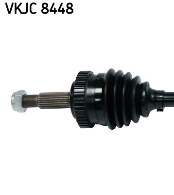 VKJC 8448_2