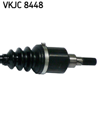 VKJC 8448_3