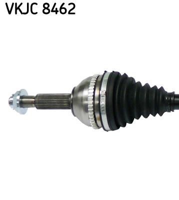 VKJC 8462_2
