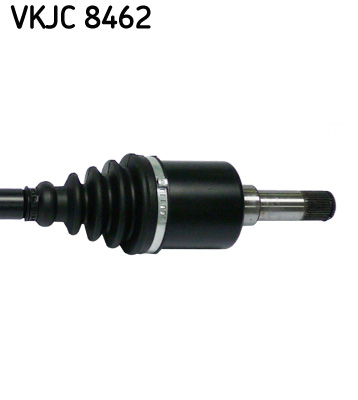 VKJC 8462_3