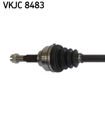VKJC 8483_2
